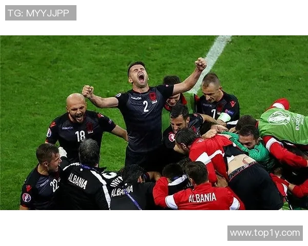 罗马尼亚与阿尔巴尼亚比赛主裁判的执法表现分析与讨论